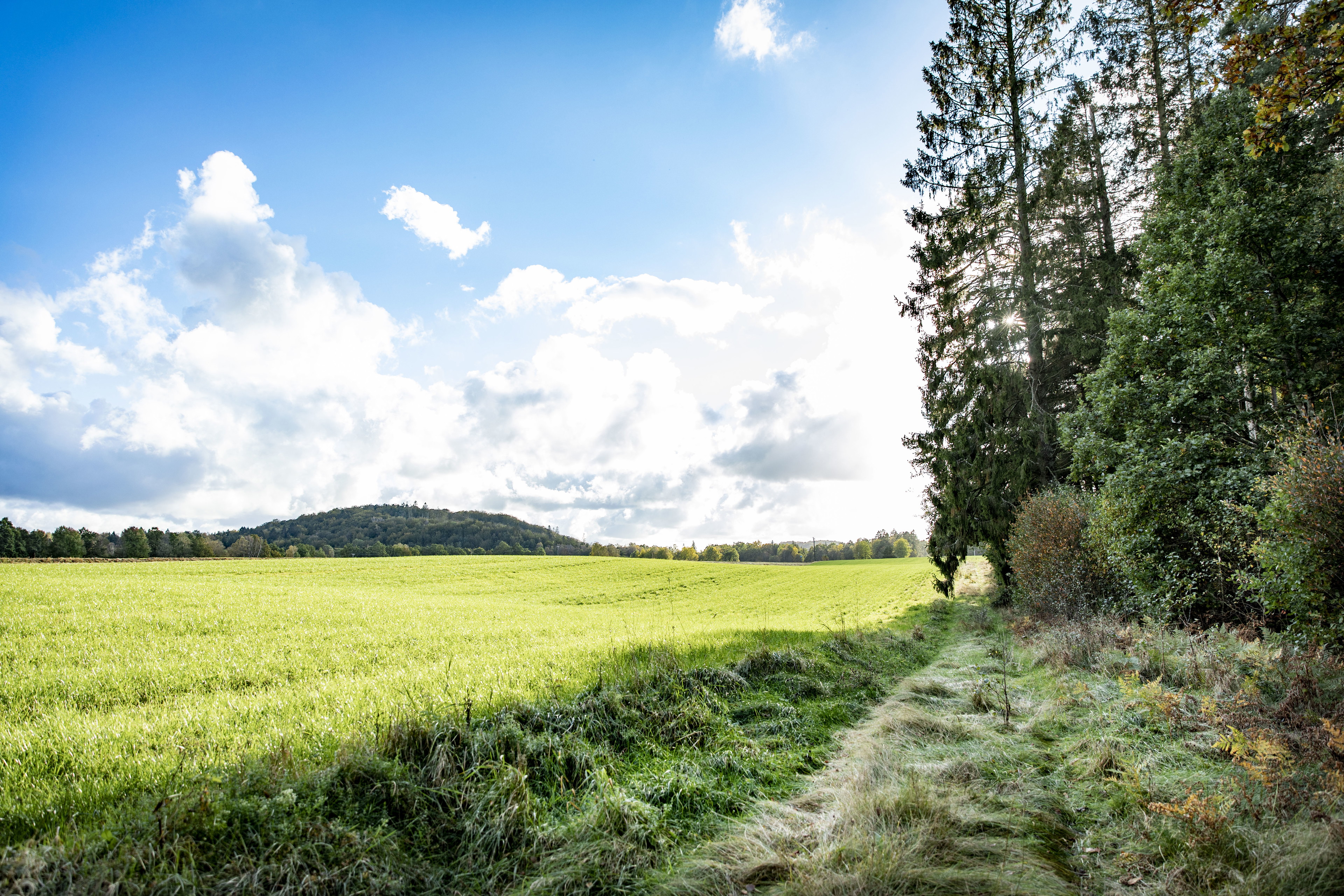 Ullared-Kärnebygd, Hallandsleden