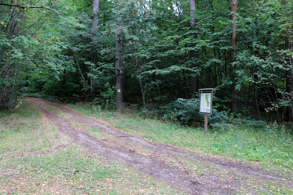 Informationstavla bredvid en skogsbilväg.