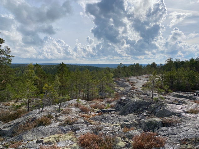 Utsikt Loftaleden