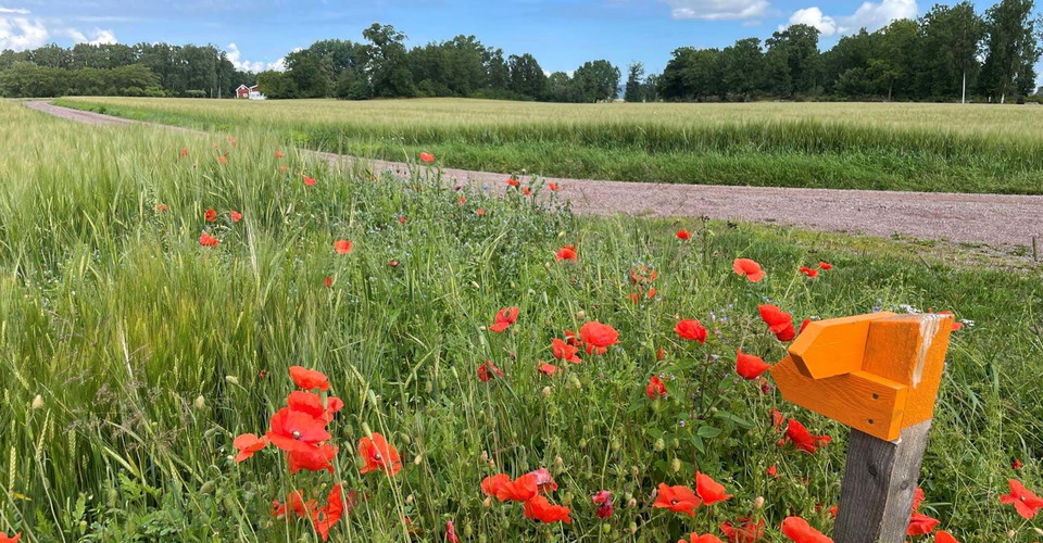 Grusväg norr om Orrnäs betesmark
Orrnäs rundslinga
Ödeshög kn