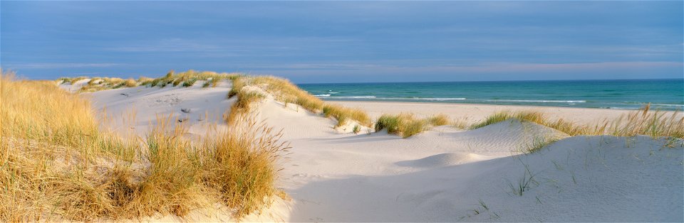 Sanddyner och kustlinje på Gotska Sandön