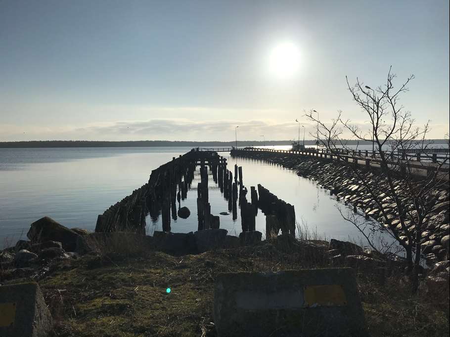 Bild: Sveaskog