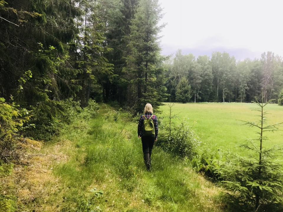 En bild på en person som går bland grönskan i naturreservatet