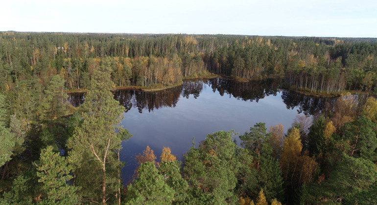 Södra Kroksjön.