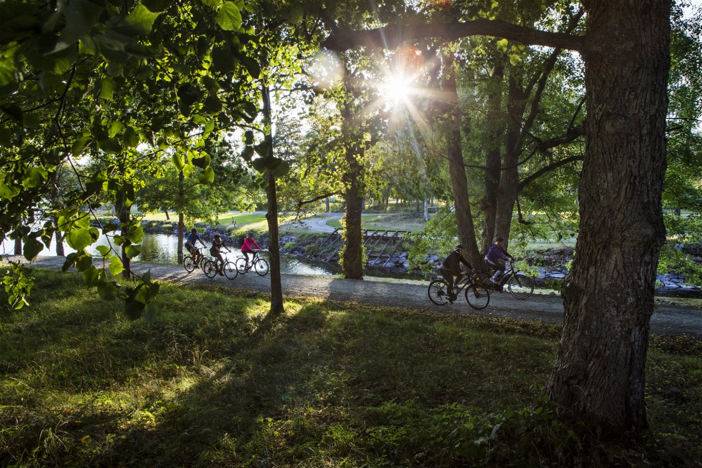 Cyklister i solnedgång på vägen genom en skog