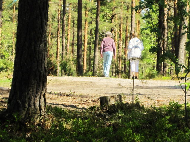 Kimstads elljusspår