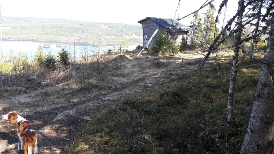 Vindskyddet på bergets topp.