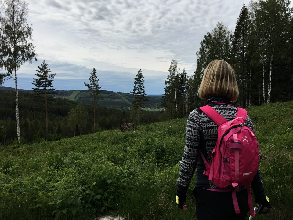 Utsikt mot Hillersbodabacken