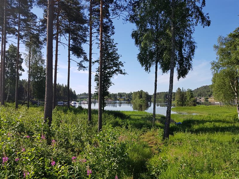 Ørje picnic area