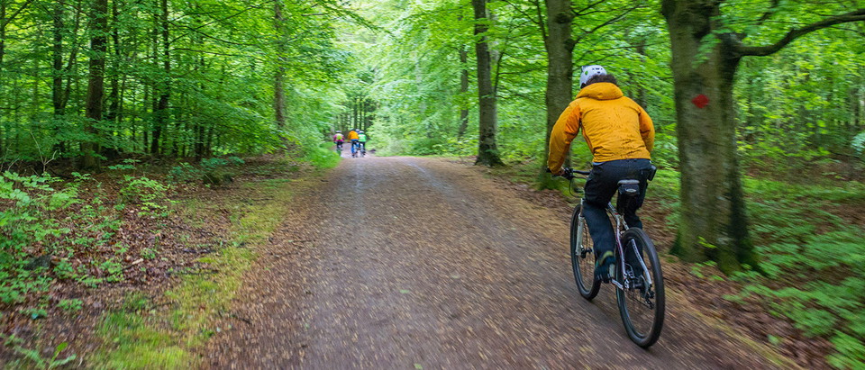Cykelled längs ark56