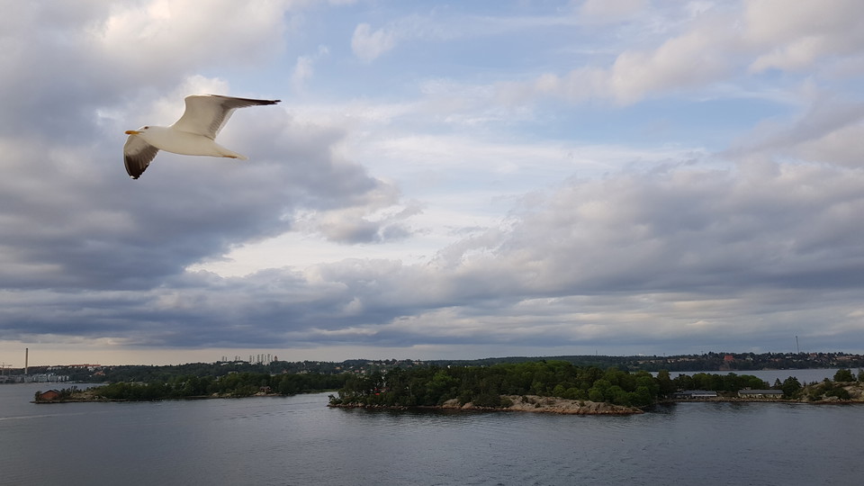 Silltrut, Ängsholmen och Stora Fjäderholmen. Foto Lidingö stad