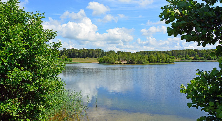 Södra Saxtorpssjön som ligger i den nordöstra delen av reservatet.