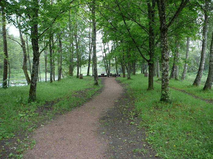 En bred, jämn stig leder mot en picknickplats med bänkar. Runtomkring växer det gräs och flera träd.