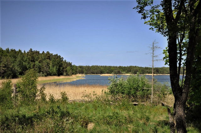 Spårön