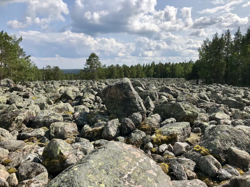 Ett av Norrlands största klapparstensfält finns uppe på Sagberg