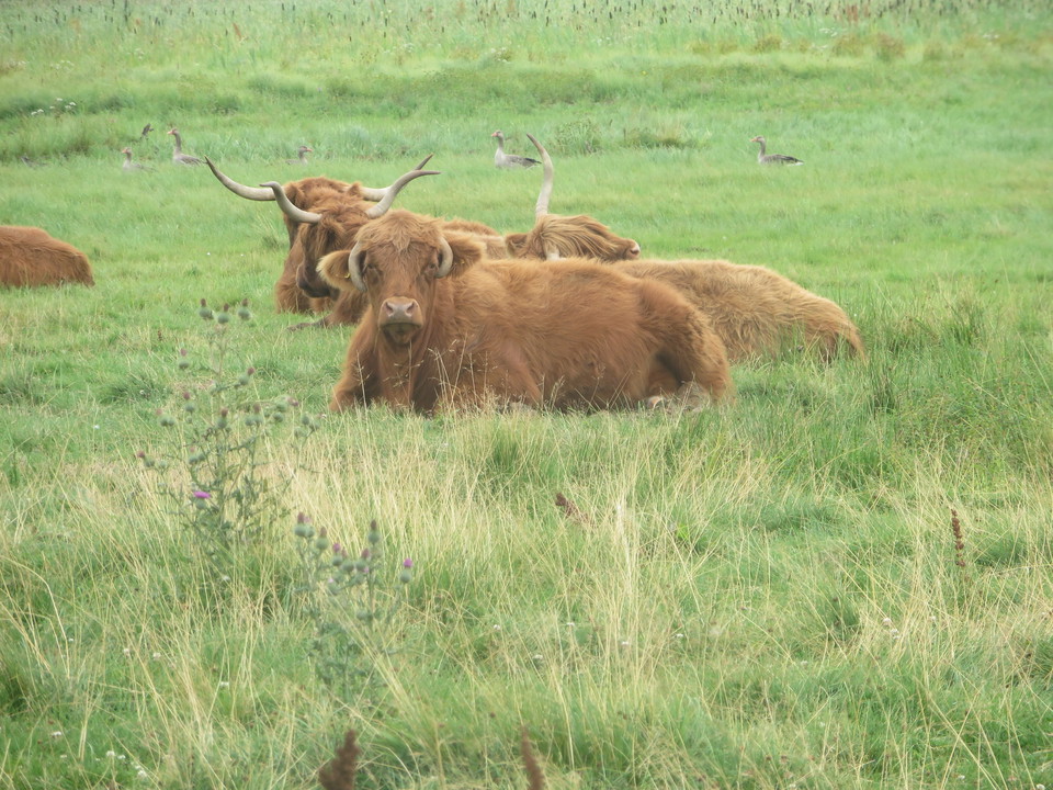 Naturvårdarna tar en paus.