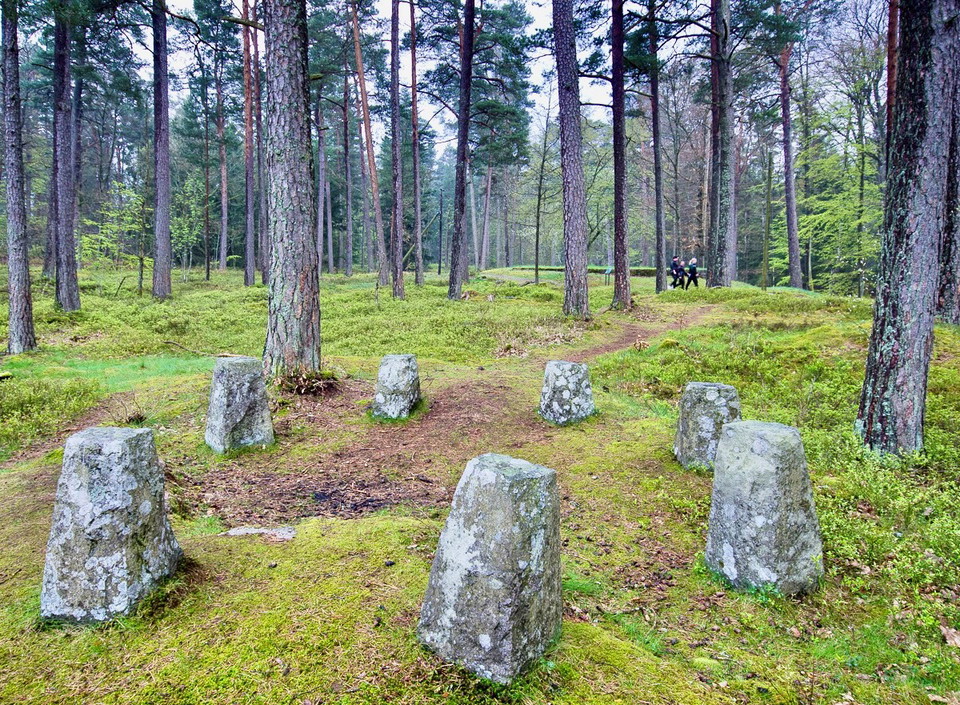 Brunnsskogen