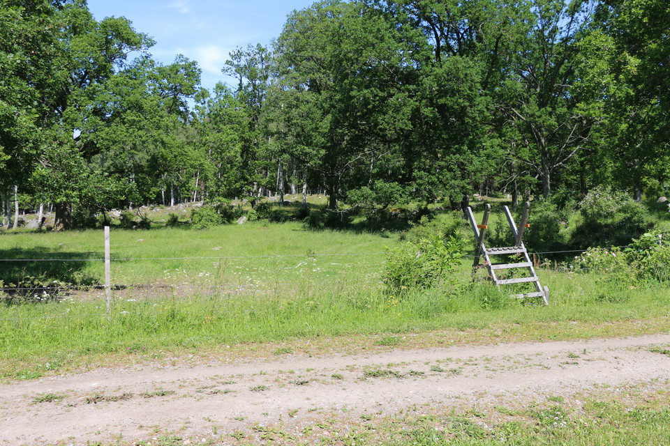 Stätta, en enklare trappa, över ett staket.