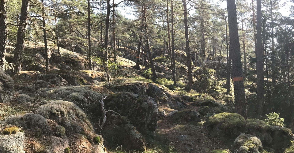 Färgmarkering vid Bobergsleden Söderköping