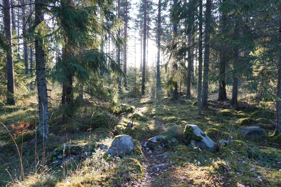 Milspåret Hemlingby