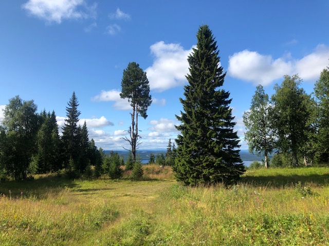 Libodvallen.