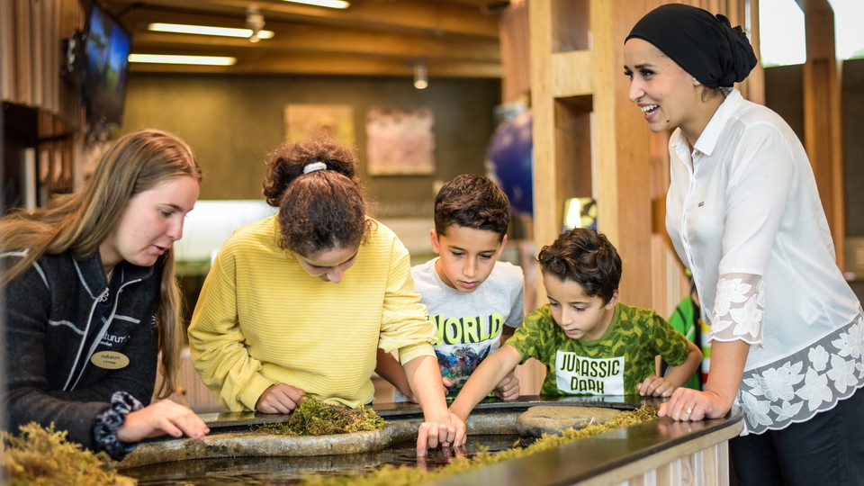 Tre barn och två vuxna står kring en konstgjord bäck