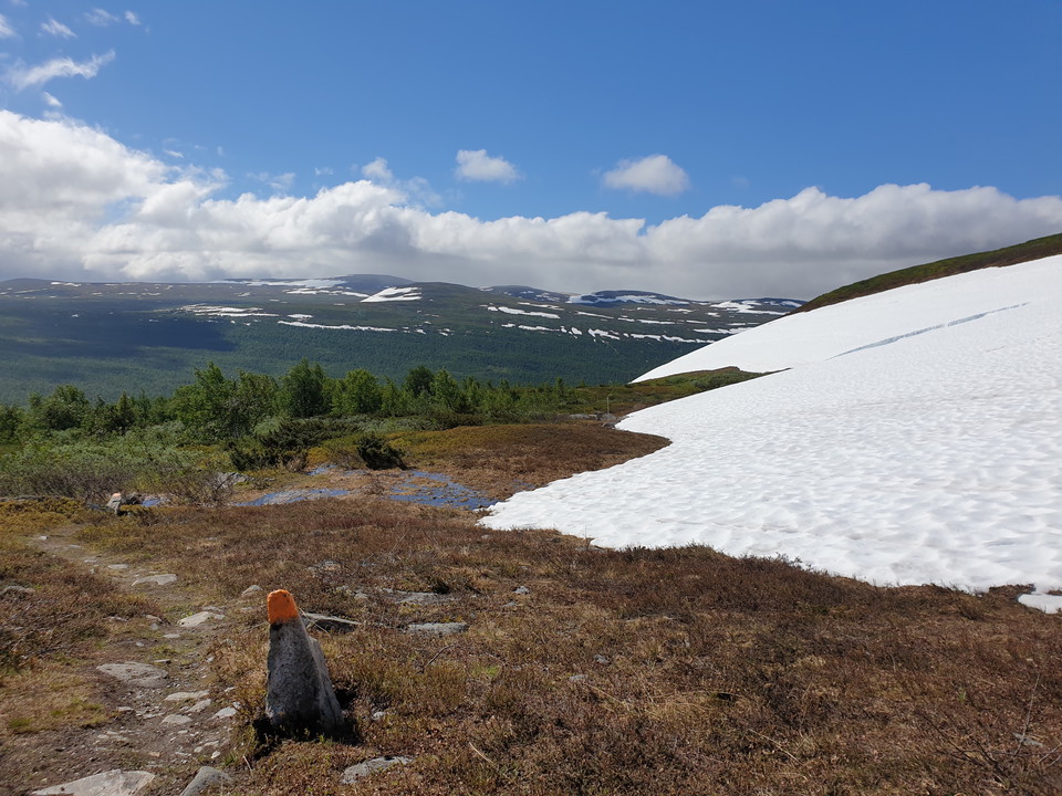 Snölegen vid trädgränsen Gájsátje.