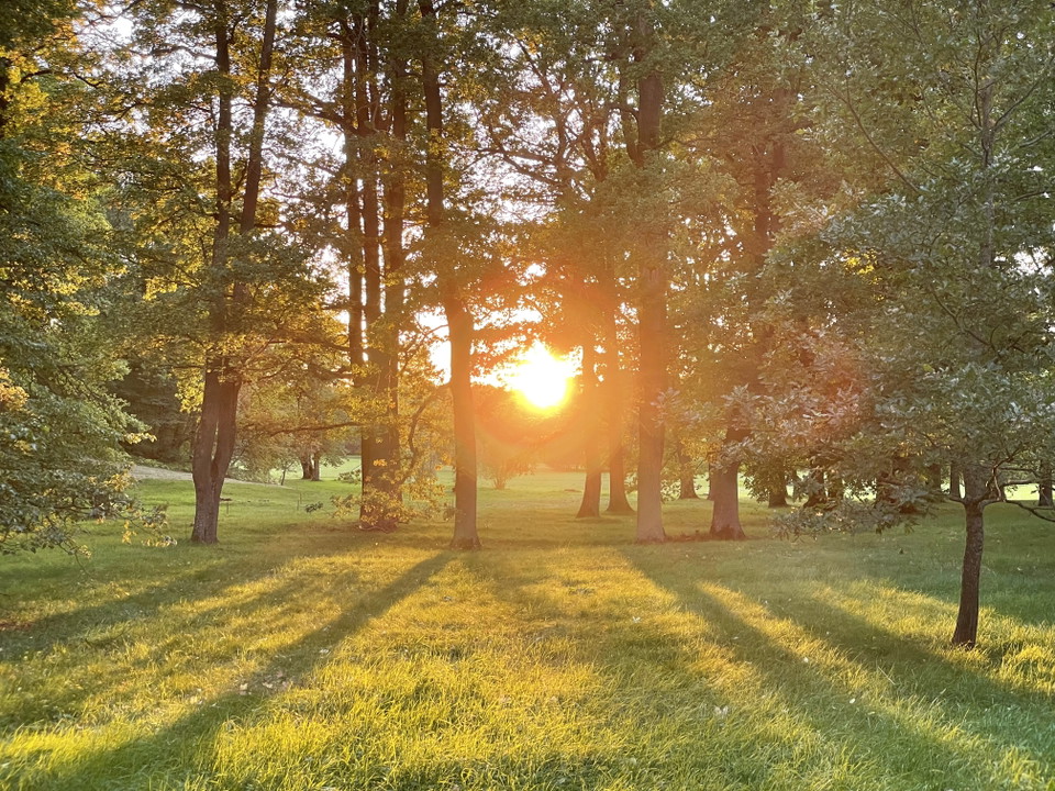 Ulriksdals slottspark.