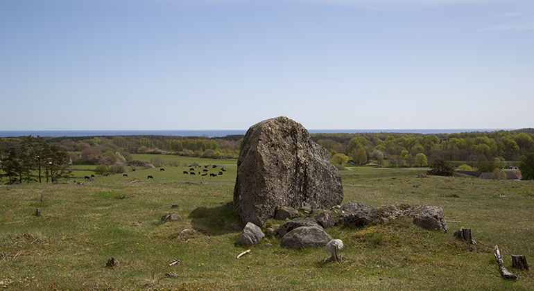 Maglehemsstenen.