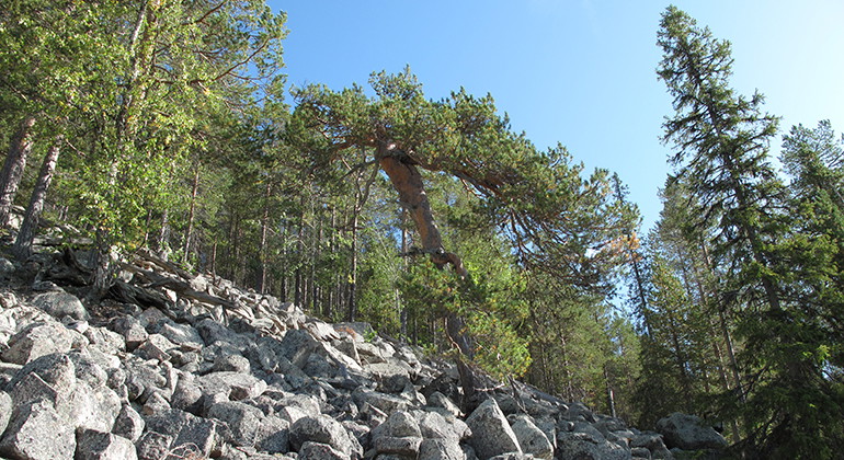 Blisterberget.