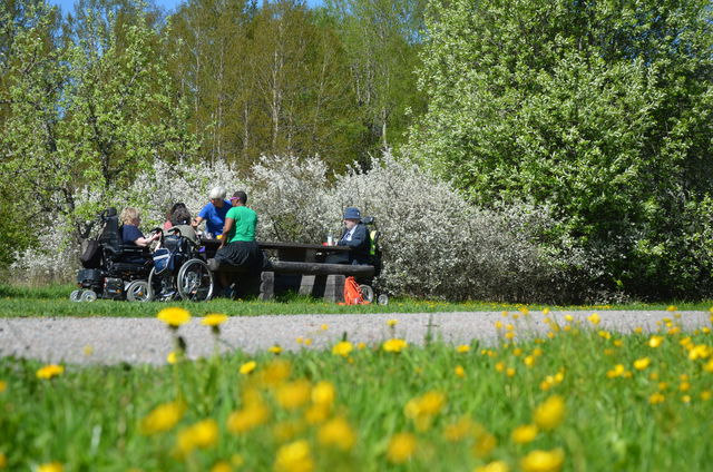 Hammarskogs naturreservat