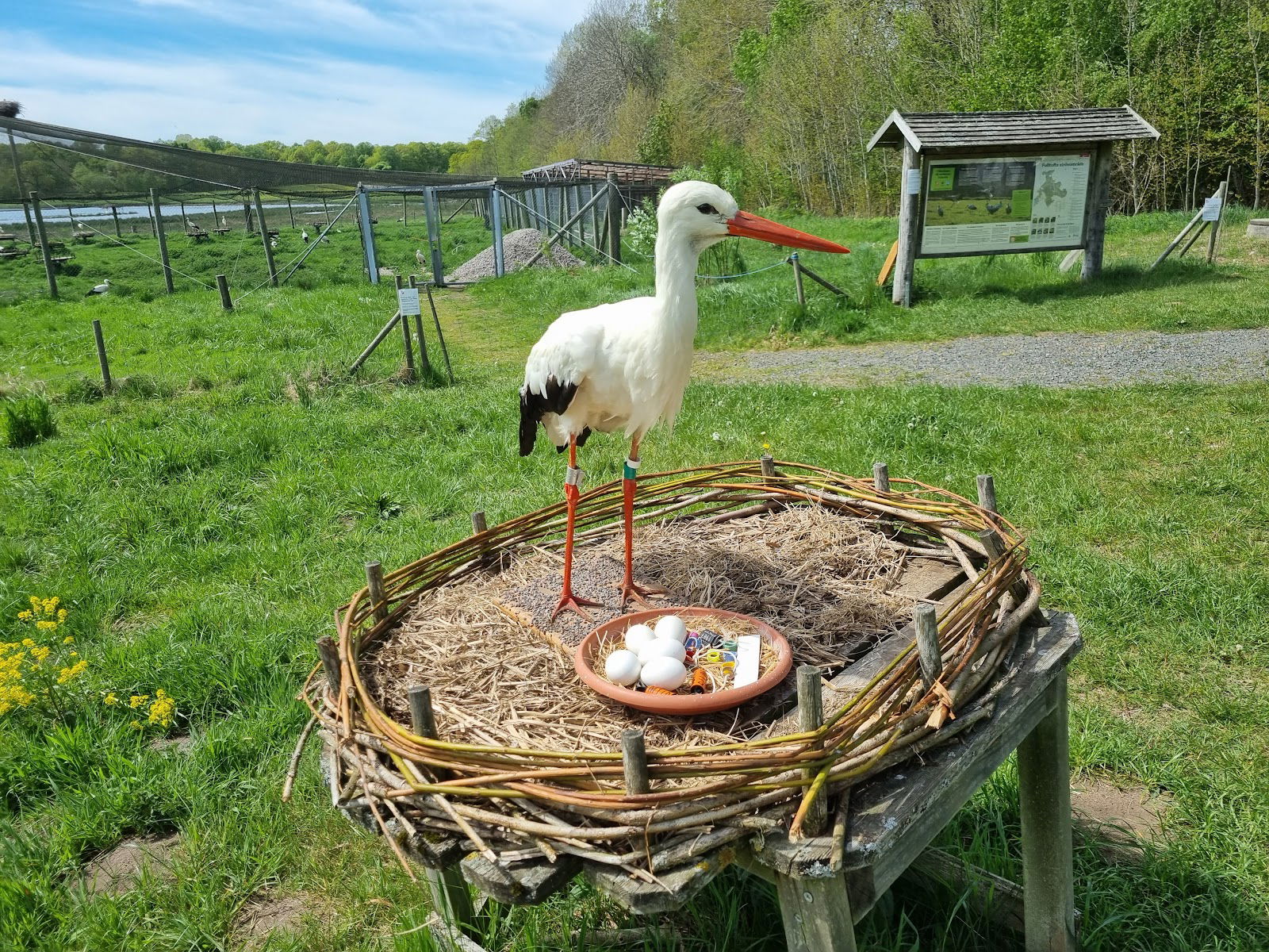 Fulltofta Storkhägn, Hörby