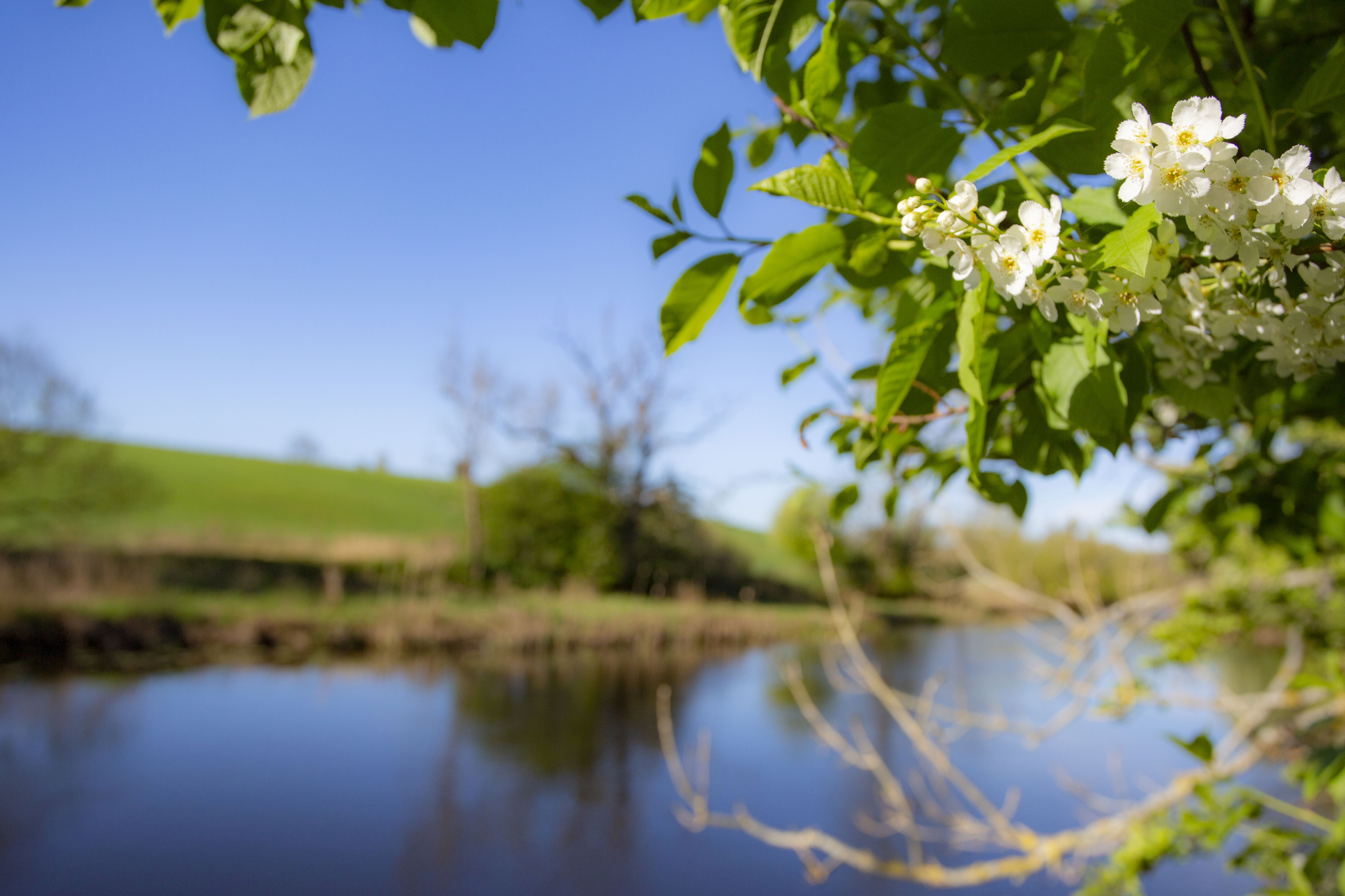 Fotografera hållbart i naturen