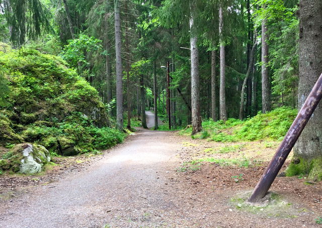 Barnsjöns motionsspår - 1,2 km
