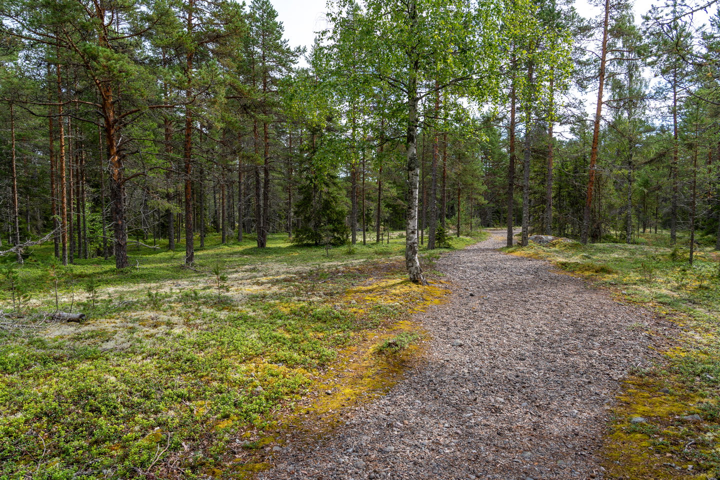Vandringsleden på Pite-Rönnskär.