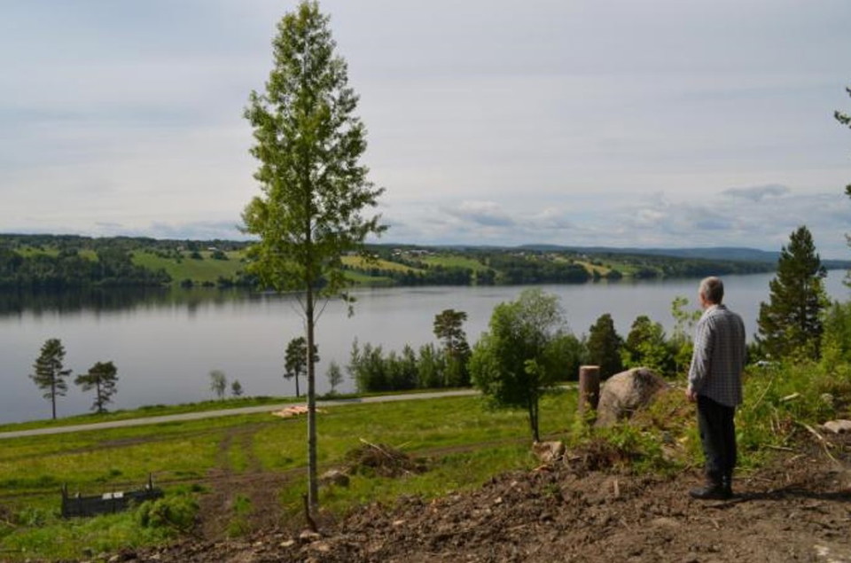 Man tittar ut över Balviken