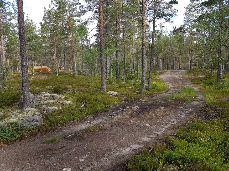 Motionsspår