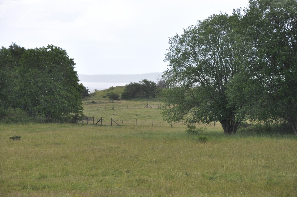 Världsarvet Hovgården