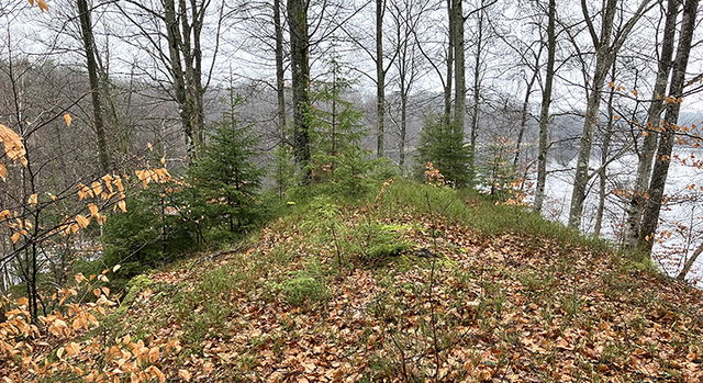 Bjärnum, Naturreservat