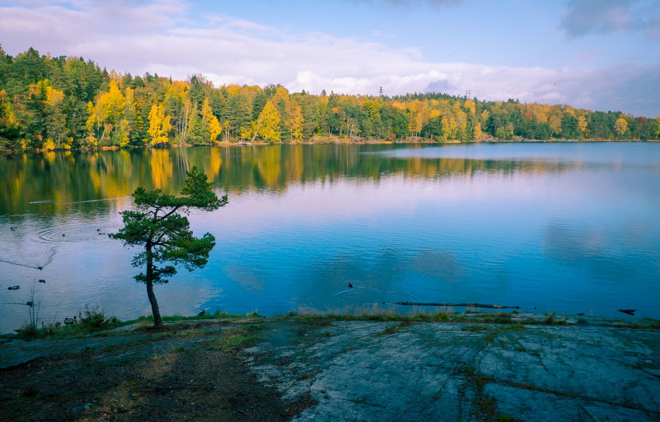 Rastplats vid badsjö.