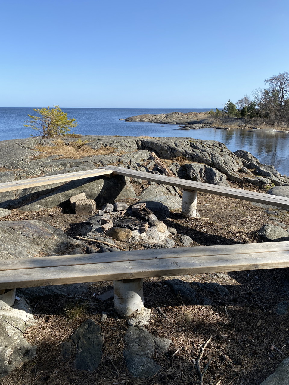 En låg eldstad med tre stockbänkar ovanpå stora stenar. Det är väldigt ojämnt och stenigt på marken runtom grillplatsen.