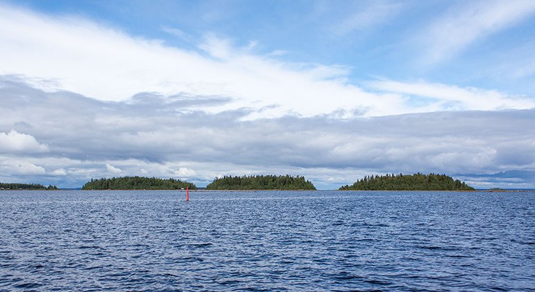 Bergöfjärdens naturreservat.