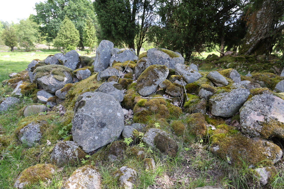 Foto: Niklas Kämpargård