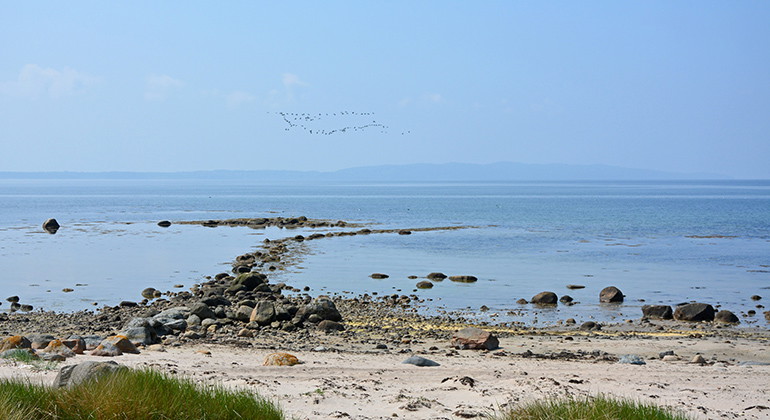 Sandstranden i Stora Hult är en populär badplats under sommarmånaderna.