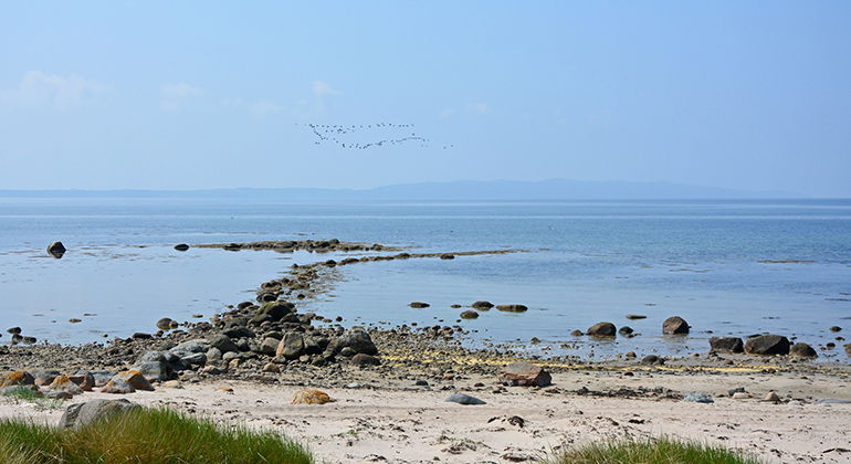 Sandstranden i Stora Hult är en populär badplats under sommarmånaderna.