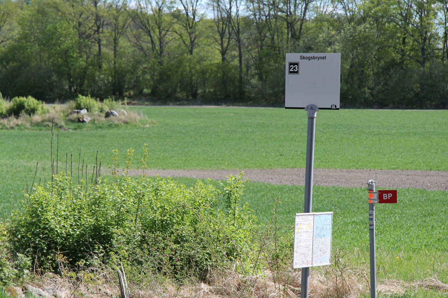 Busshållplatsskylt.