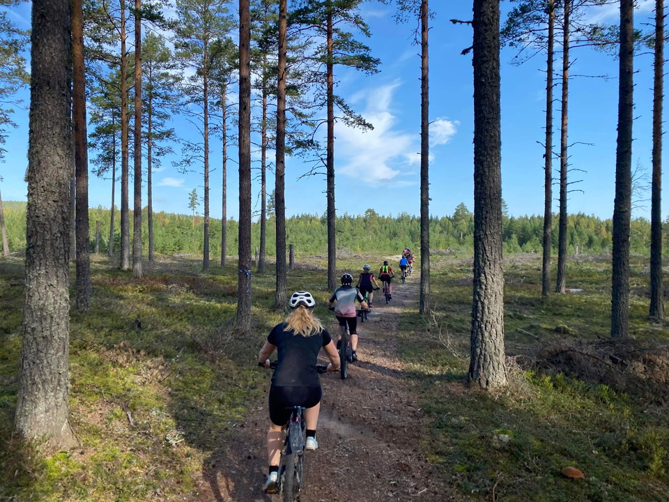 Ett gäng cyklister på en naturstig 