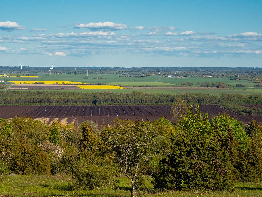 Utsikt från Renstafällan över Tåkern och Östgötaslätten