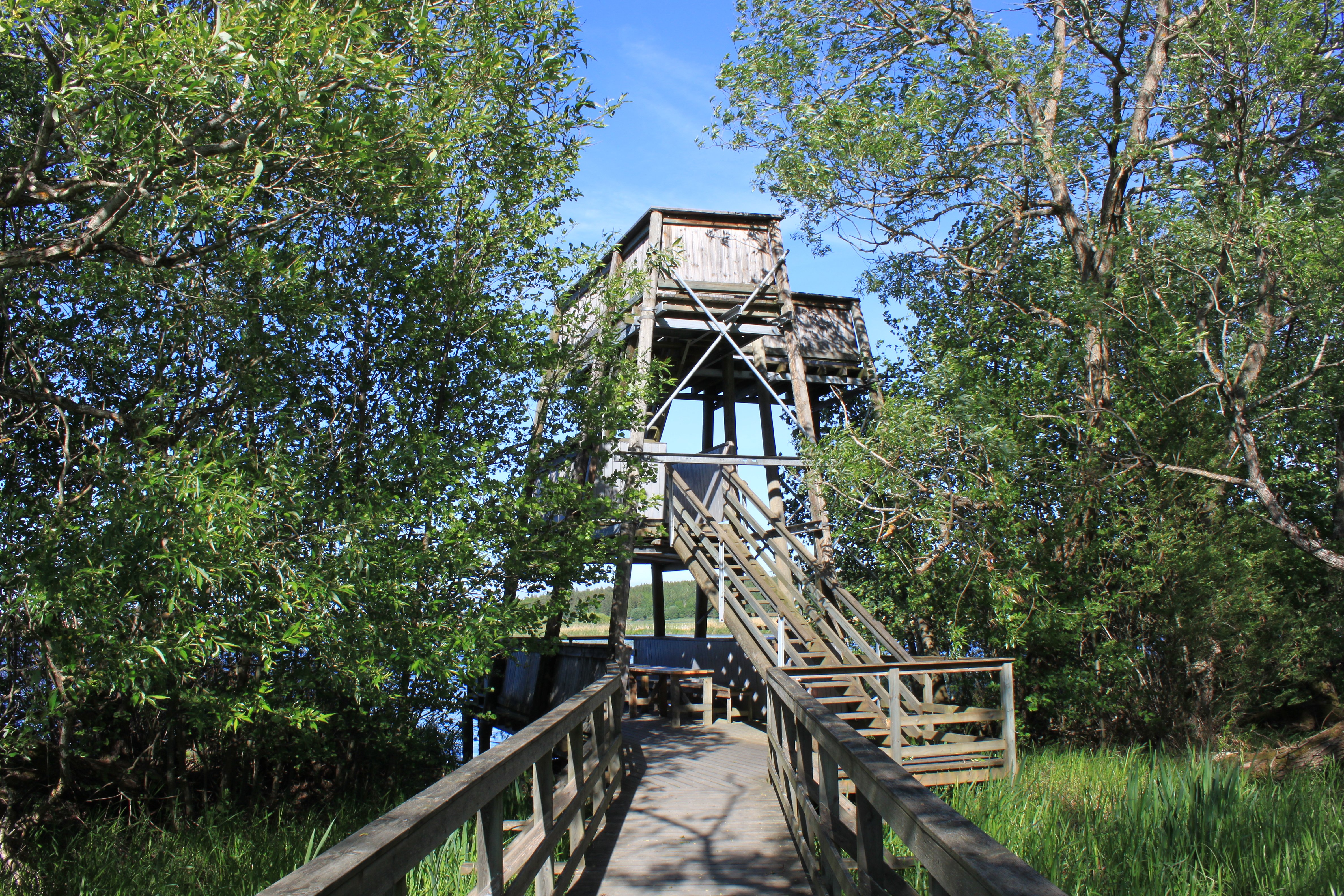 En bred spång med handräcken leder fram till ett fågeltorn vid Fyrisån. Fågeltornet har tre våningar och en trappa med handräcken går upp till andra våningen.