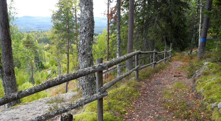 Stigen till och från toppen